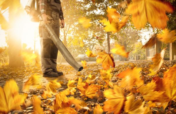 Cost of Leaf Blowing Service in Mission Viejo
