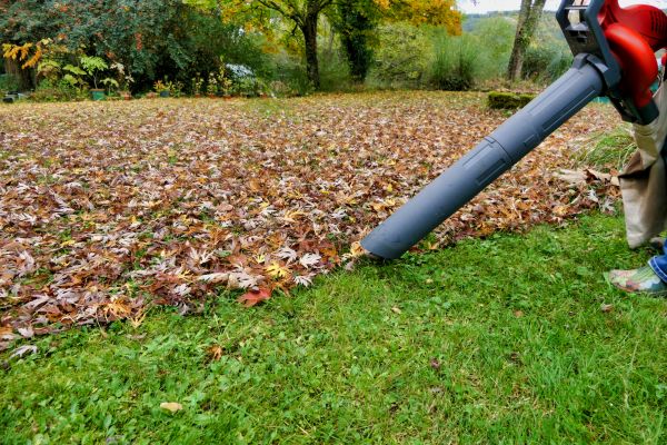 Cost of Leaf Vacuuming Service in Mission Viejo