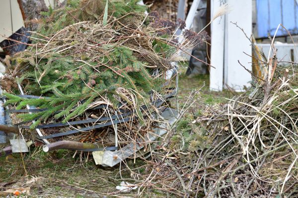 Cost of Yard Debris Removal in Mission Viejo