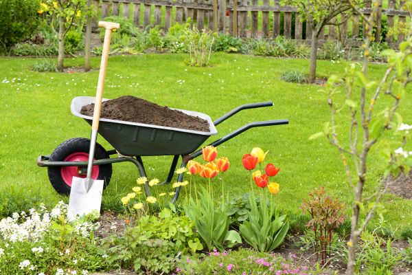 Cost of Spring Yard Cleanup in Mission Viejo