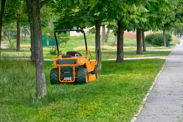 Cost of Landscaping Cleanup Service in Mission Viejo