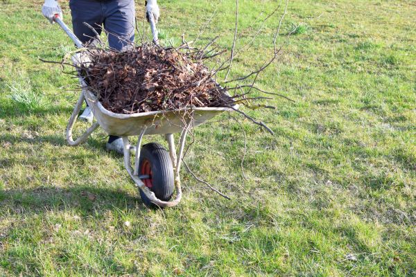 Cost of Yard Brush Removal in Mission Viejo