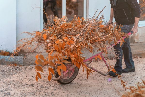 Cost of Lawn Debris Cleanup in Mission Viejo