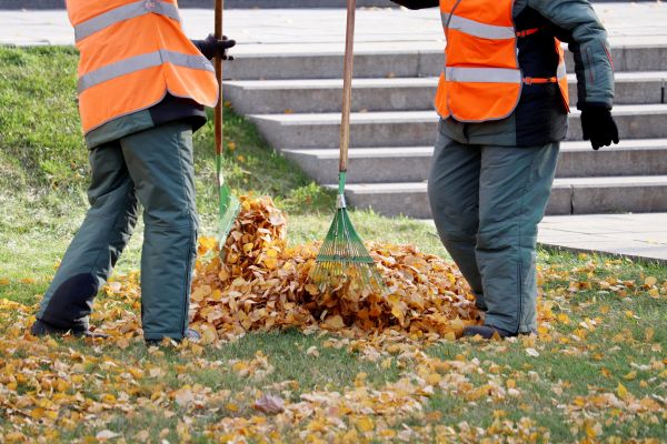 Cost of Leaf Hauling Service in Mission Viejo