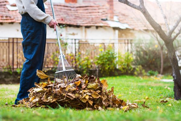 Cost of Spring Lawn Cleanup in Mission Viejo