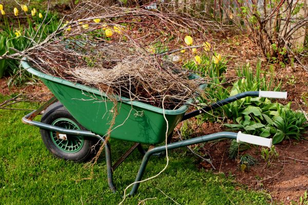 Cost of Lawn Waste Removal in Mission Viejo