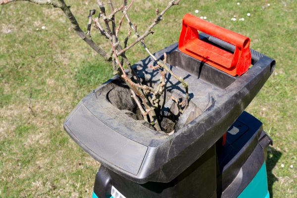 Cost of Brush Cleanup Service in Mission Viejo