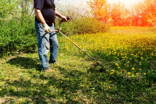 Cost of Yard Clearing Service in Mission Viejo