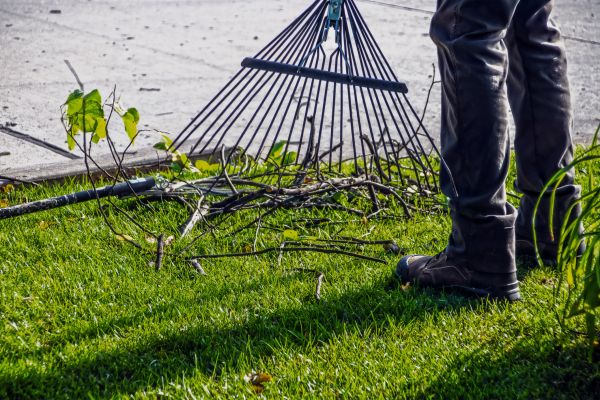 Cost of Yard Debris Cleanup in Mission Viejo