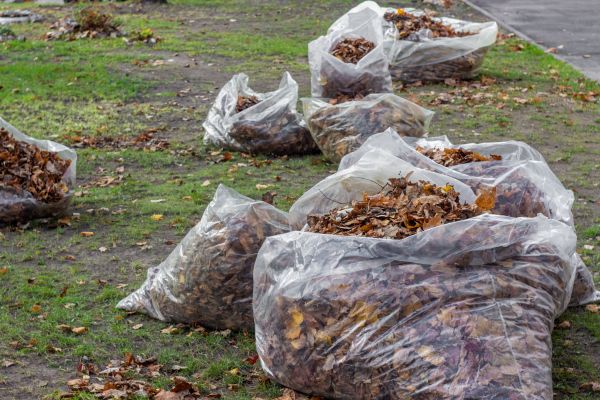 Cost of Leaf Pile Disposal in Mission Viejo
