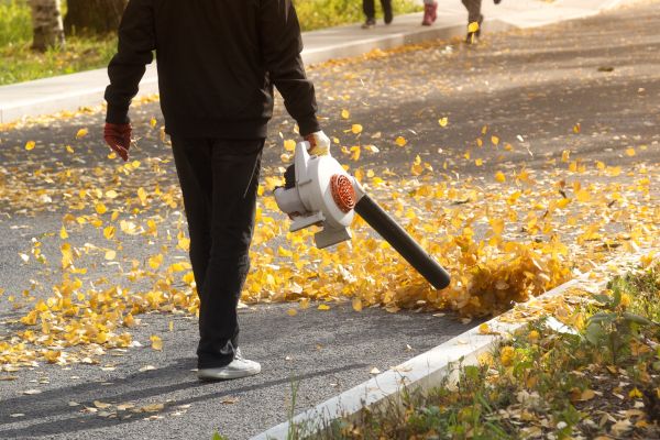 Cost of Commercial Leaf Removal in Mission Viejo