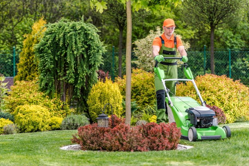 Lawn Clean Up Equipment